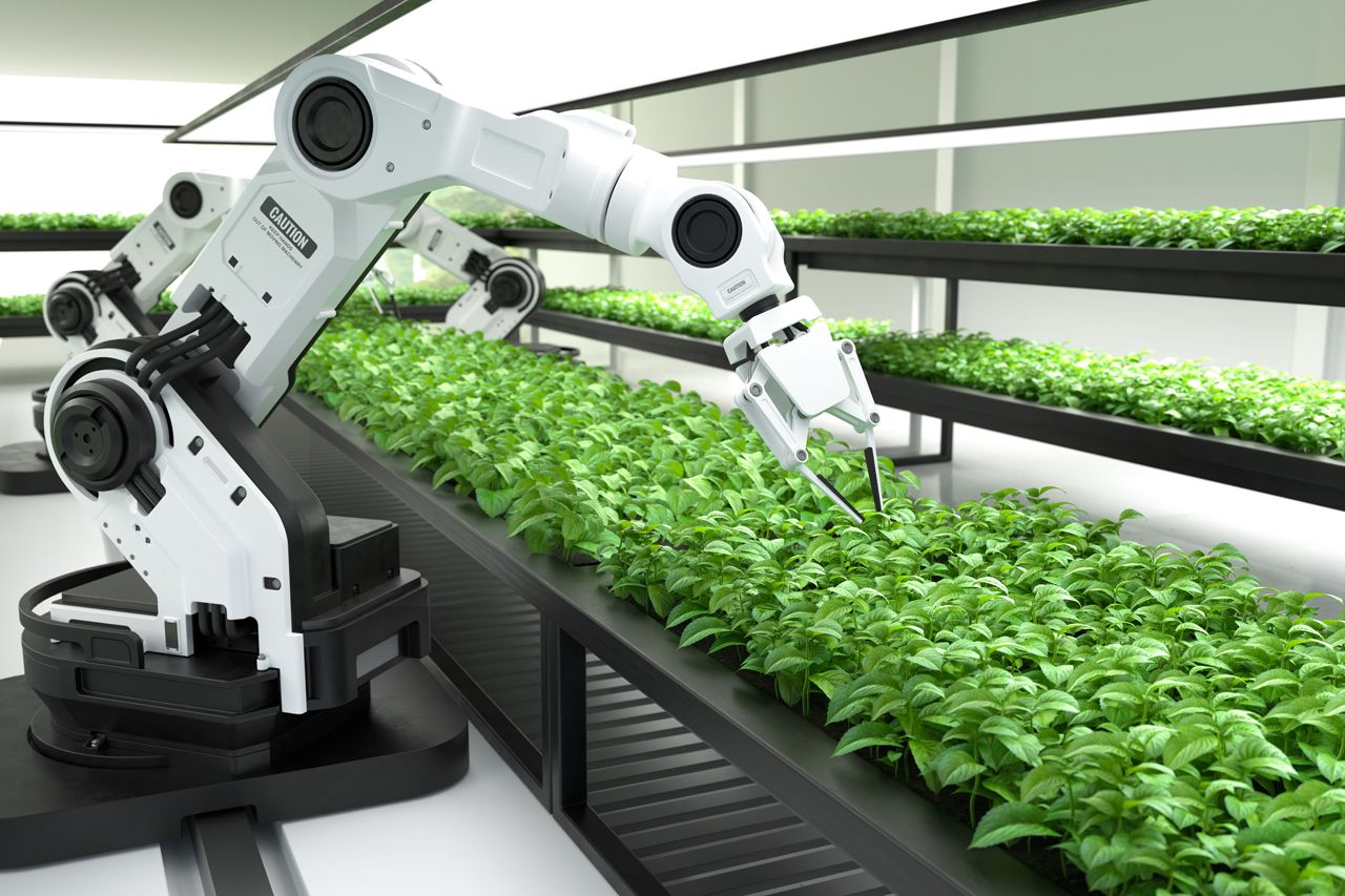 Robot automation case study